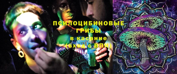 spice Бородино