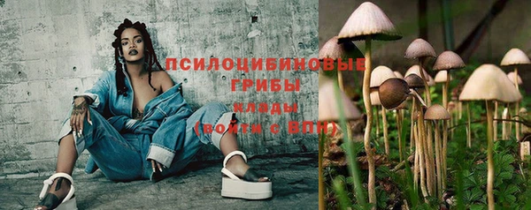 прущая мука Бронницы