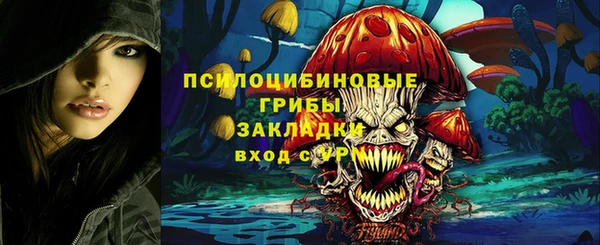 spice Бородино