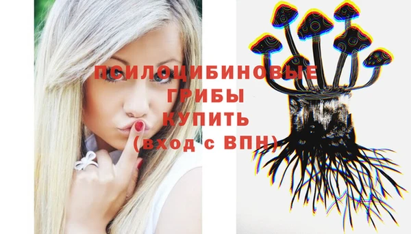 spice Бородино