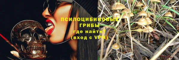 spice Бородино