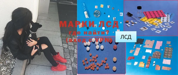 spice Бородино