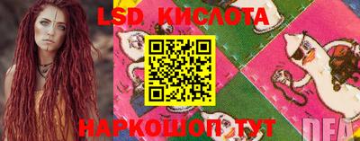 крисы Гай