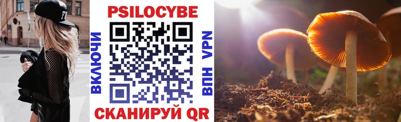 Галлюциногенные грибы мицелий  MEGA   Видное  купить закладку 