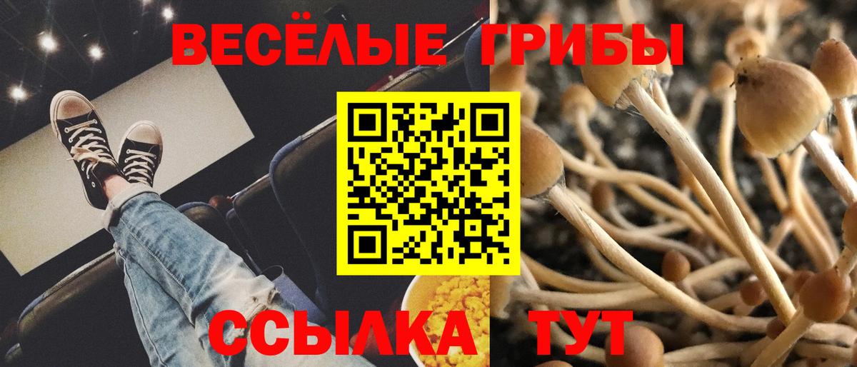 Галлюциногенные грибы прущие грибы Видное